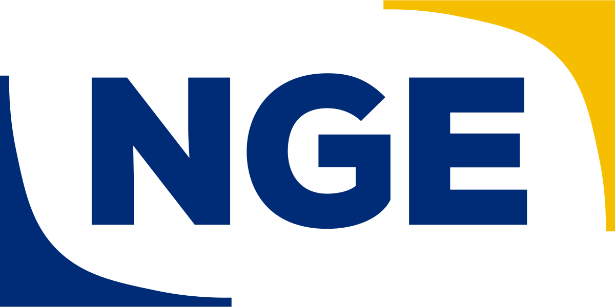 Groupe NGE — Wikipédia